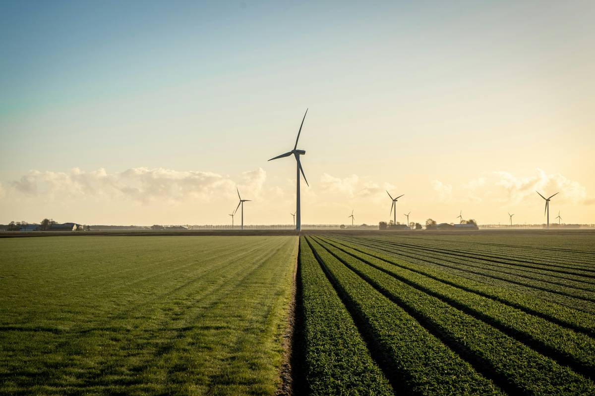Sungrow String Inverter Datasheet: 7 Proven Tips to Avoid Costly Mistakes
